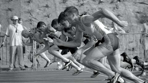 Sport